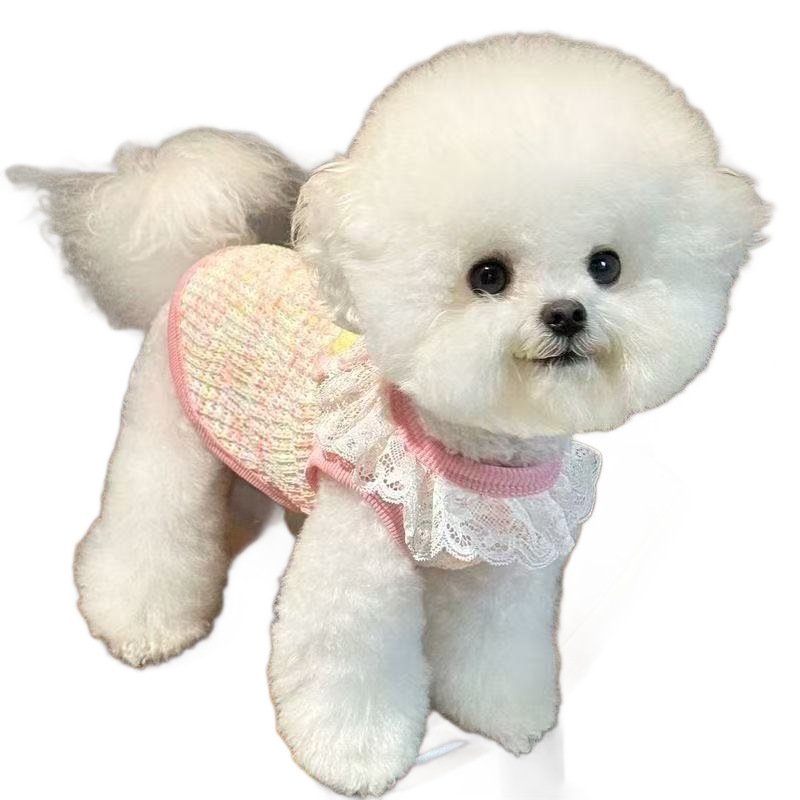 Pet Knit Vest with Leash Ring for Small Dogs Cats - Image 4